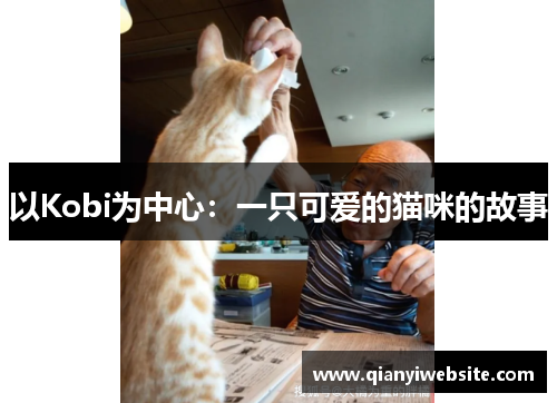 以Kobi为中心：一只可爱的猫咪的故事